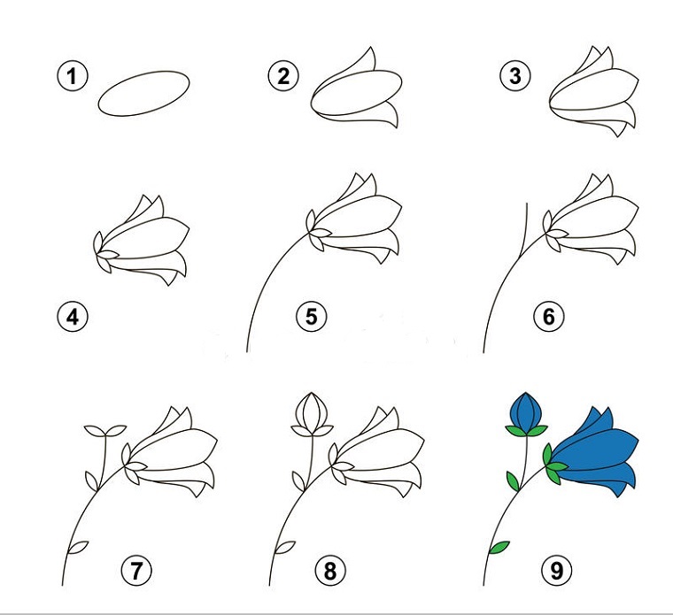 Come disegnare un fiore, disegni facili per bambini, nove step per un disegno facile 