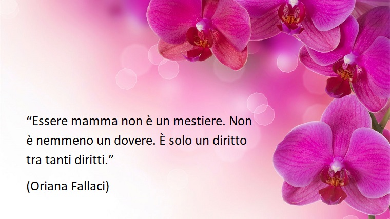 Festa della mamma frasi, fiori di colore viola, citazione di Oriana Fallaci sull'essere mamma 
