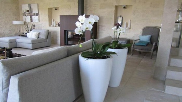 Tortora colore, arredamento salotto con mobili grigio chiaro, orchidee in vasi grandi 