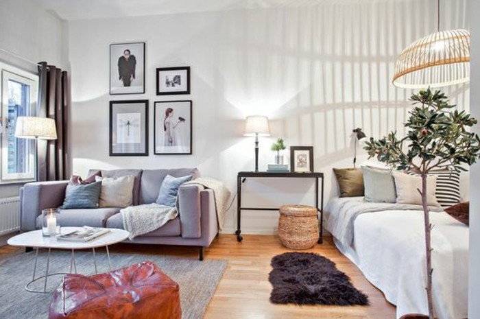 un'idea di design per arredare mini appartamento con pareti bianche e parquet, divano grigio e letto singolo
