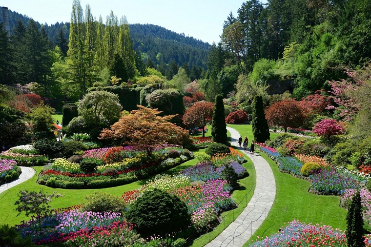 Come abbellire un giardino, molti fiori colorati e piante sempreverdi, camminamento molto lungo 