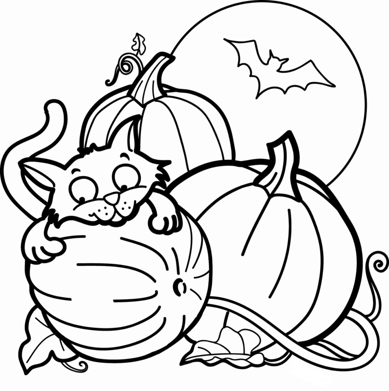 Idea per un disegno da colorare per Halloween con zucche e gattino 