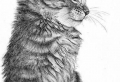Imparare a disegnare con la matita: fare delle opere d’arte da soli