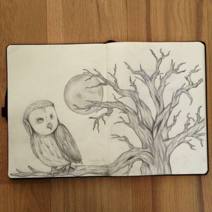 Immagini da disegnare a matita, gufo su un ramo, quaderno con disegno di una luna