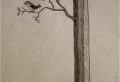 Imparare a disegnare con la matita: fare delle opere d’arte da soli
