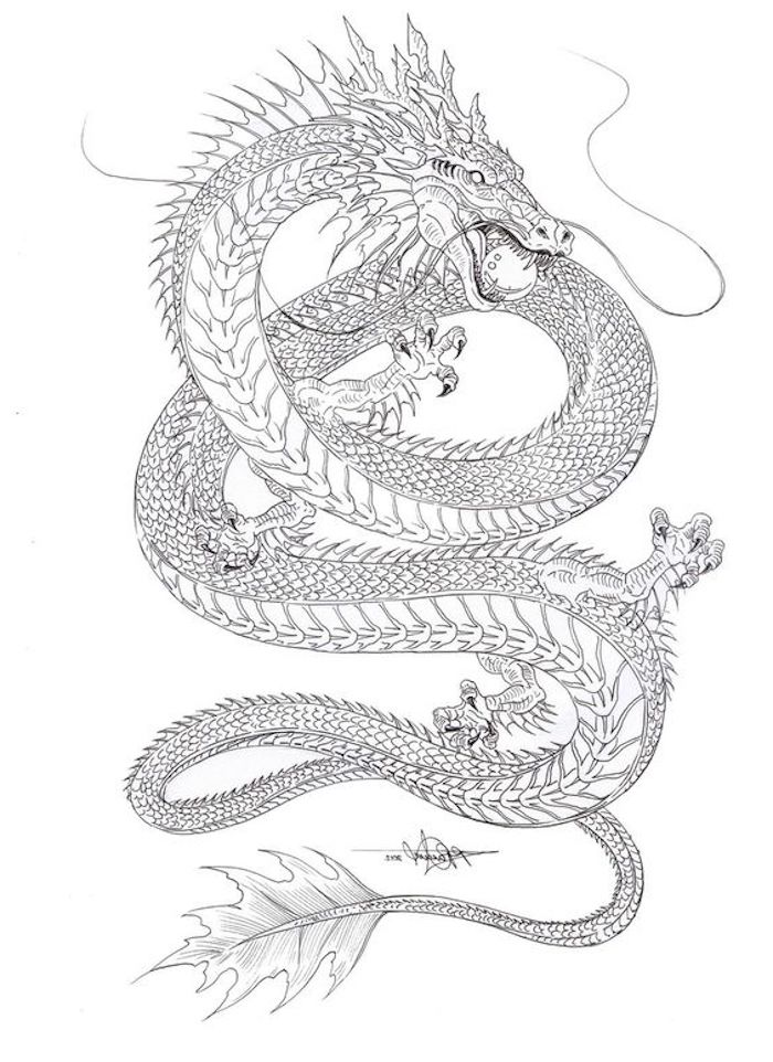 Disegno di un drago, disegno a matita, idea per un tatuaggio