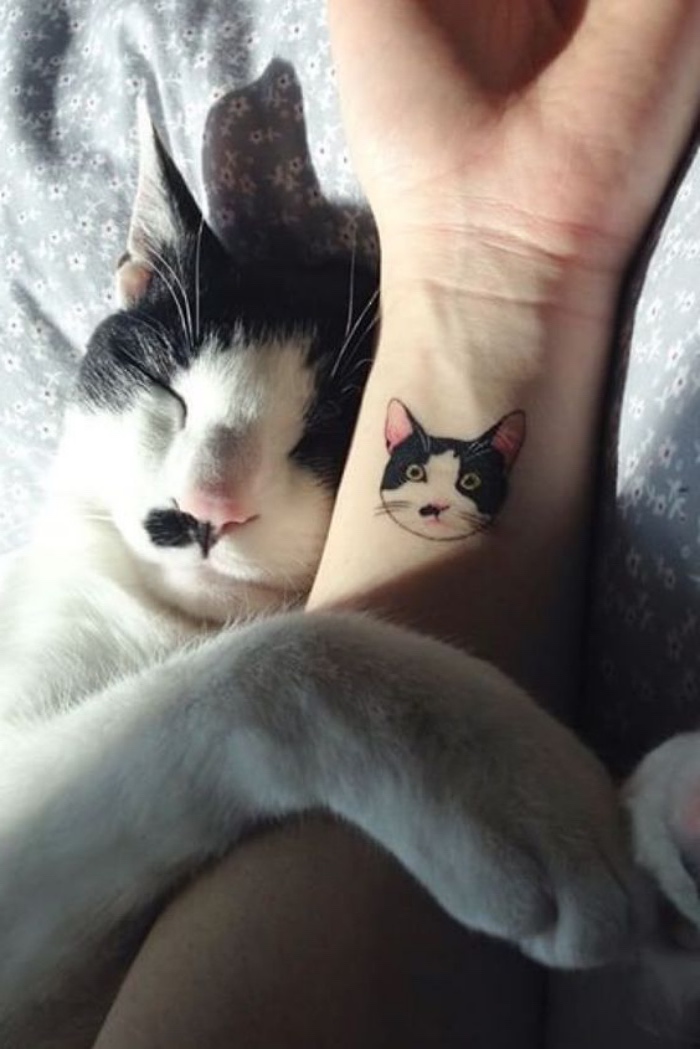 Tattoo disegno gatto, tatuaggi avambraccio, gatto che dorme