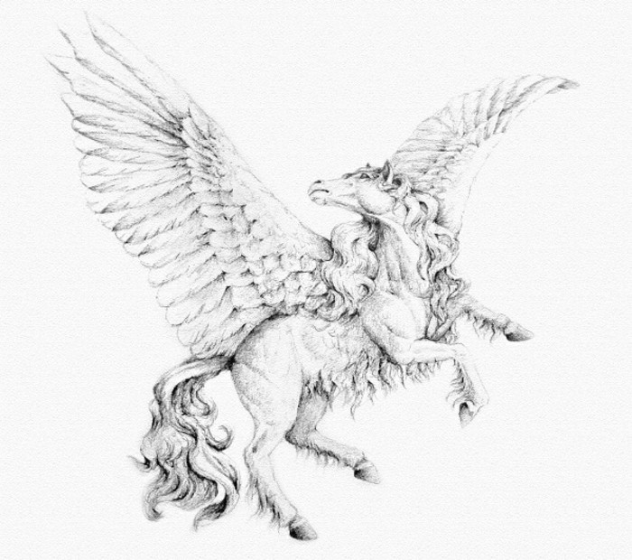 Disegno di una cavallo alato, Pegaso con ali che vola