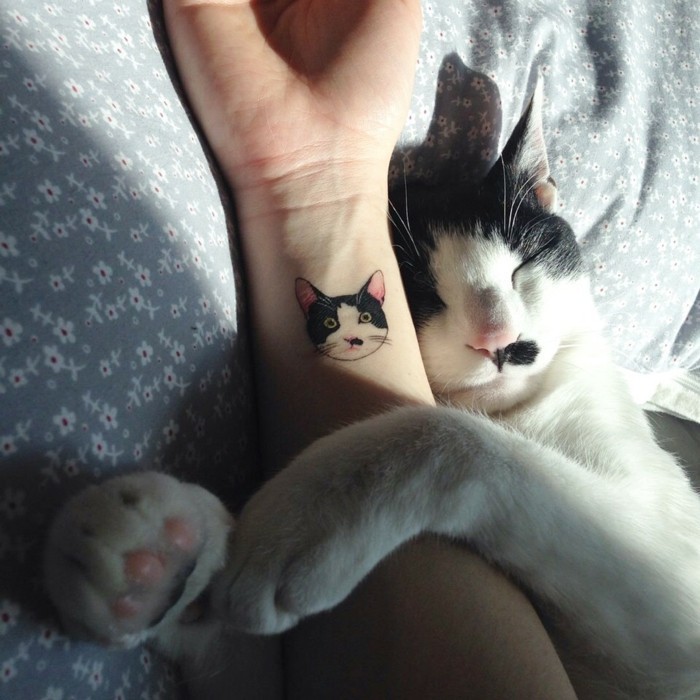 Idea per tatuaggi stilizzati, disegno di un gatto come tattoo, gatto che dorme