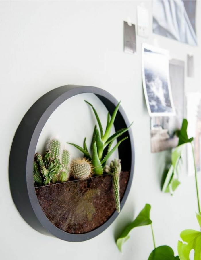 Vaso da parete, vaso con piante grasse, decorazioni pareti moderne