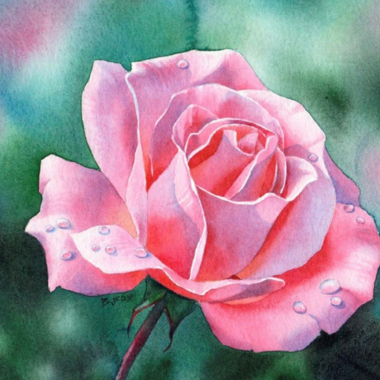 Disegno colorato realistico, come disegnare una rosa, rosa con petali di colore rosa