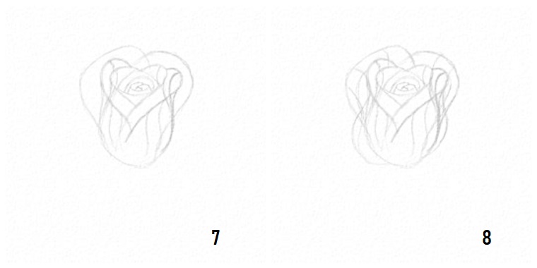 Petali di una rosa, disegni facili da disegnare a mano libera