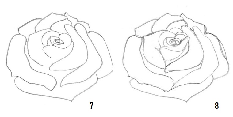 1001 Idee Per Come Disegnare Una Rosa Con Tutorial