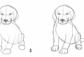 100 Disegni a matita facili e molto belli, tutorial e passaggi da seguire