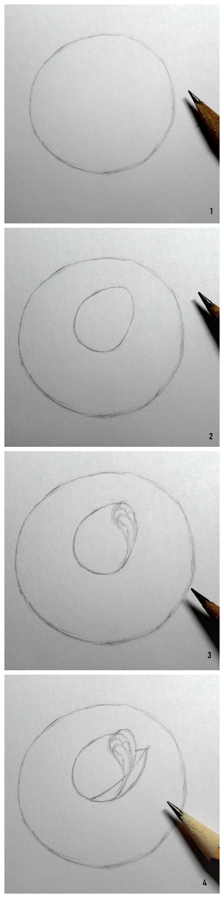 Fiori facili da disegnare, tutorial per disegnare una rosa