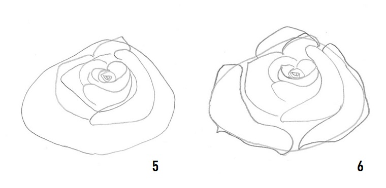 Come disegnare una rosa, disegno a matita, schizzo di una rosa