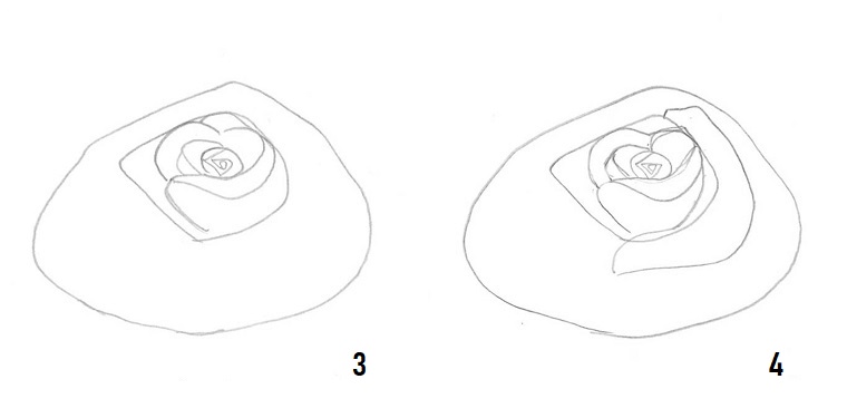 1001 Idee Per Come Disegnare Una Rosa Con Tutorial