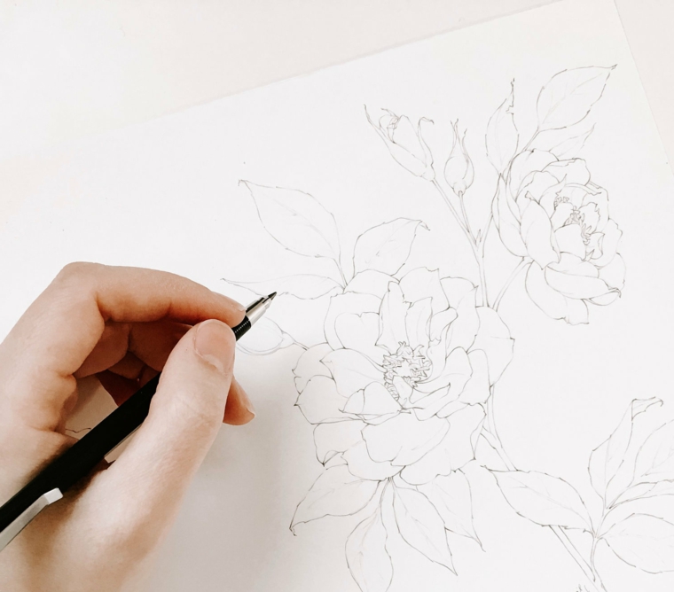 Fiori facili da disegnare, foglio con fiore di loto, disegnare con la matita