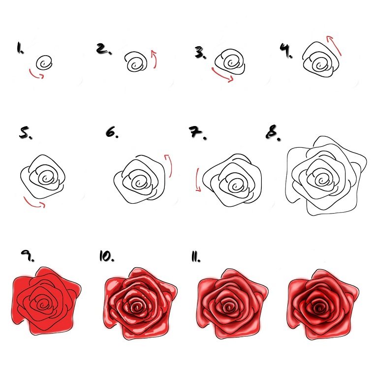 1001 Idee Per Come Disegnare Una Rosa Con Tutorial