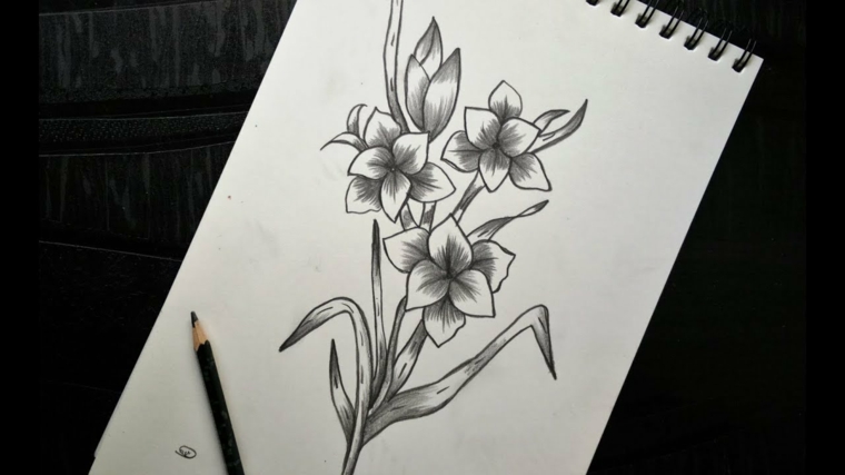 Disegni Fiori A Matita