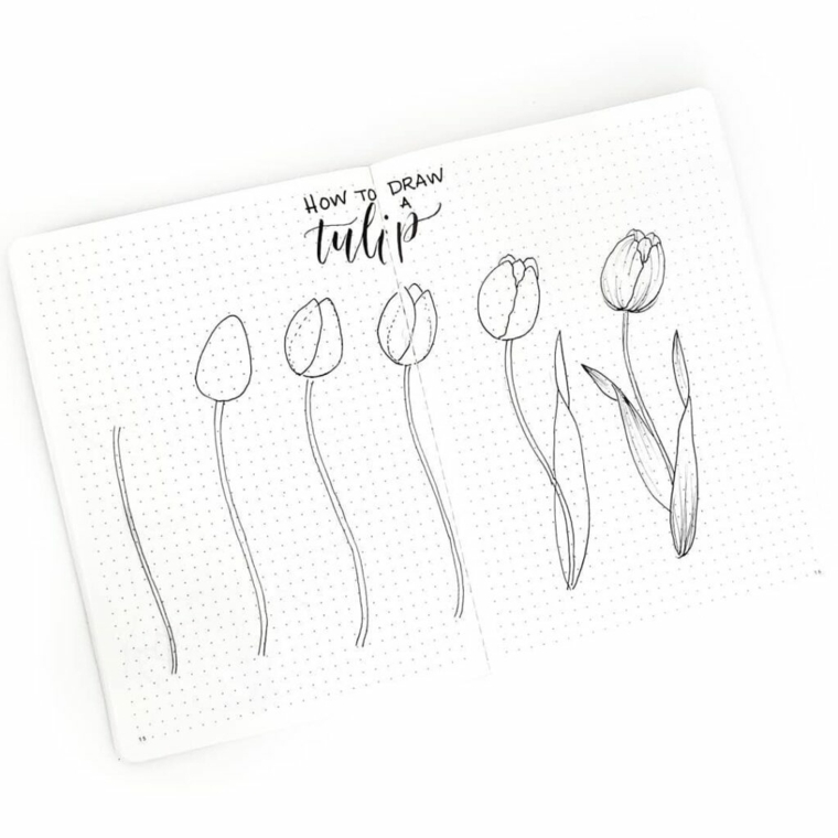 Disegni a matita facili, abbozzo di un tulipano, disegnare con la matita