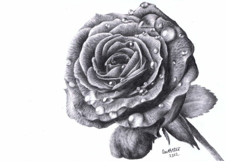 1001 Idee Per Come Disegnare Una Rosa Con Tutorial