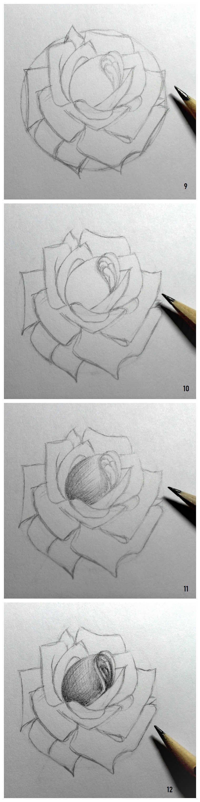 Disegni da copiare facili e belli, disegno di una rosa, disegnare con matita