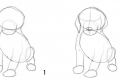 100 Disegni a matita facili e molto belli, tutorial e passaggi da seguire