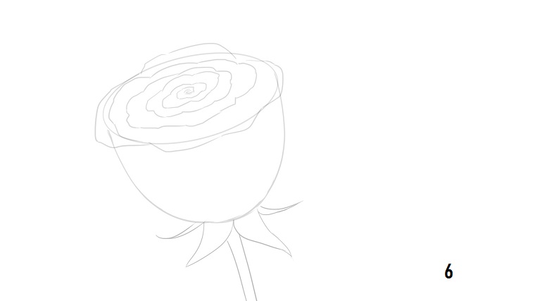 1001 Idee Per Come Disegnare Una Rosa Con Tutorial