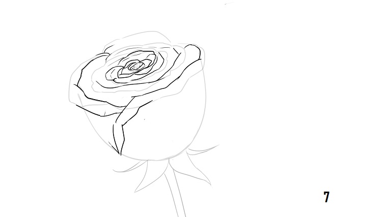 Schizzo di un fiore, disegni di fiori a matita, passi disegno tutorial