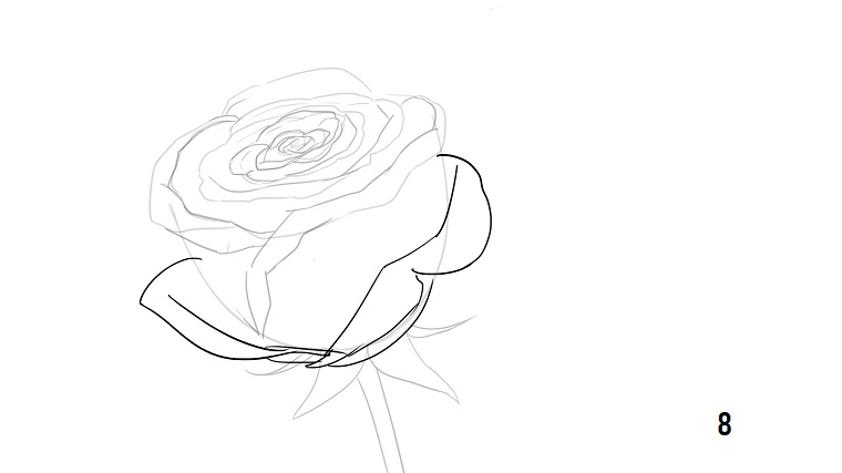 1001 Idee Per Come Disegnare Una Rosa Con Tutorial