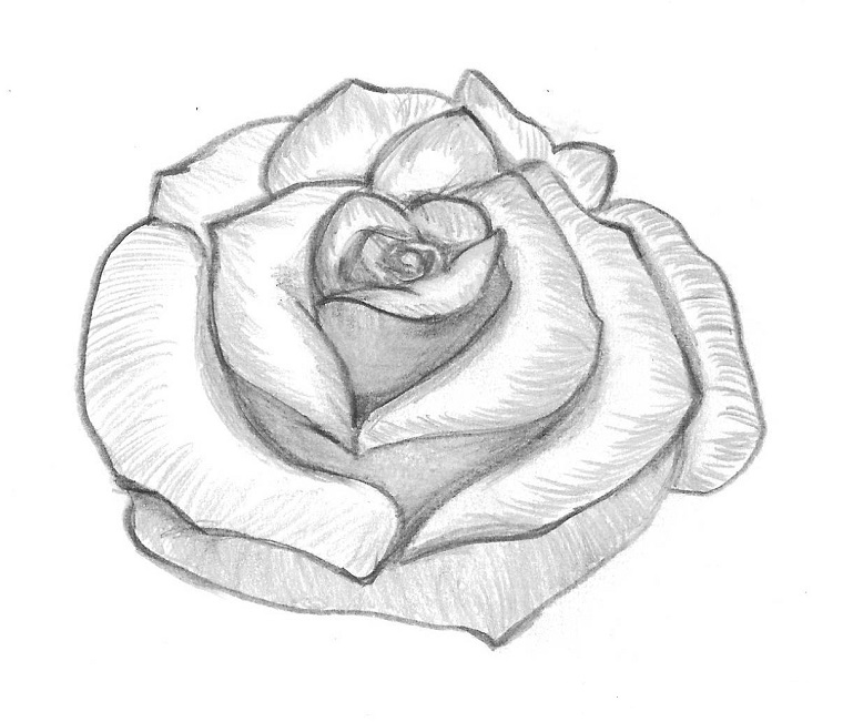 1001 Idee Per Come Disegnare Una Rosa Con Tutorial