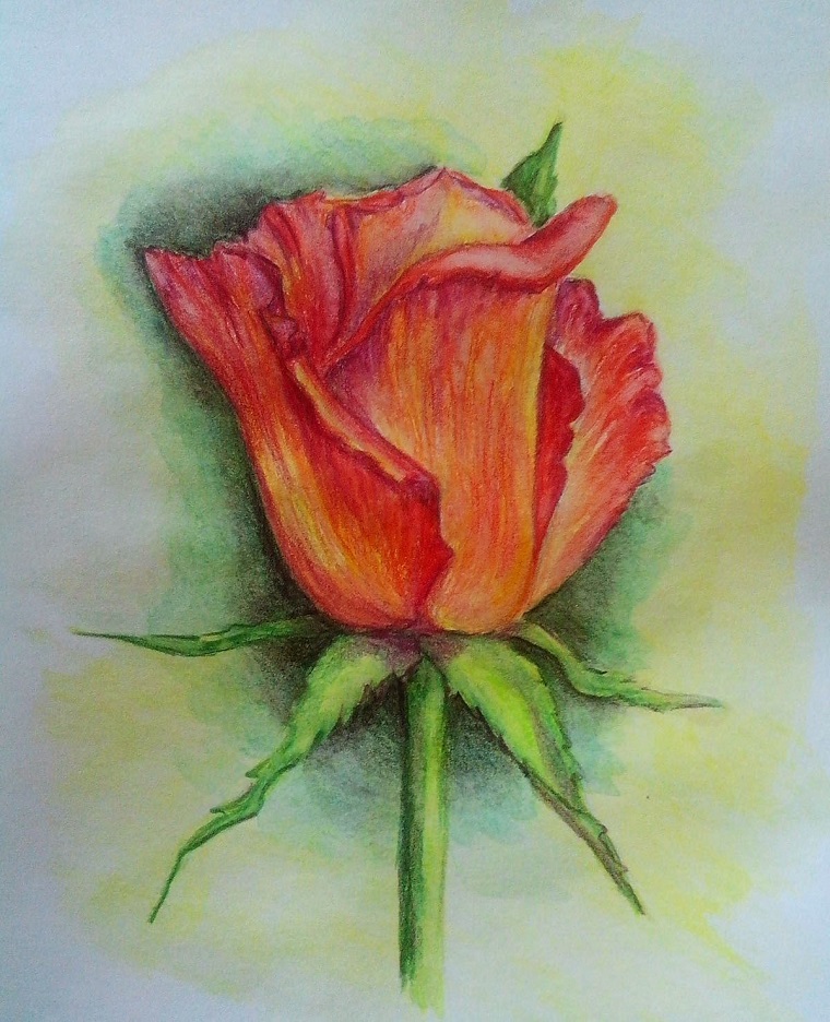 1001 Idee Per Come Disegnare Una Rosa Con Tutorial