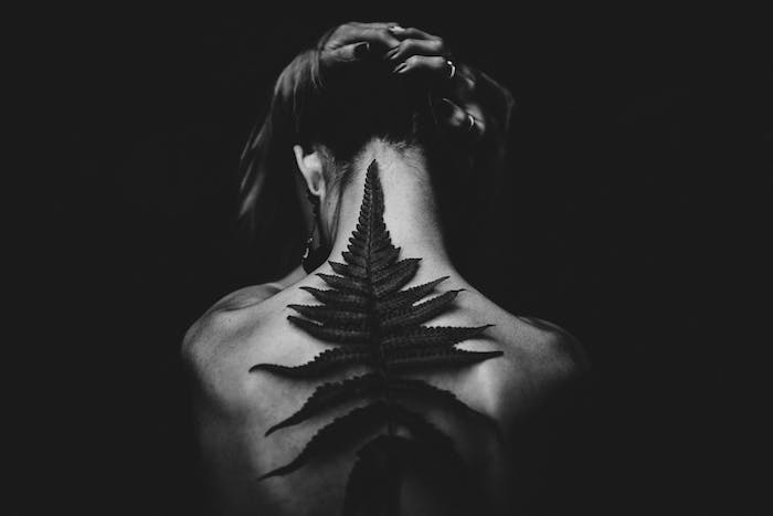 La schiena di una donna, wallpaper tumblr, foglie di una pianta