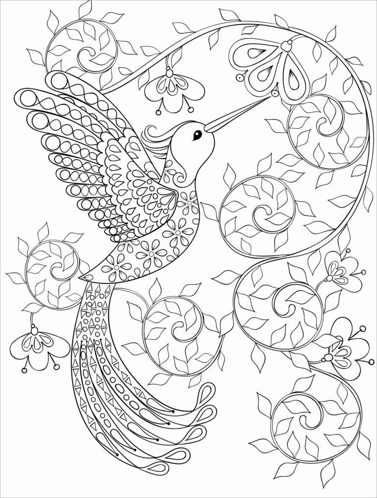 Disegno con uccello, motivi mandala facili, disegno da colorare