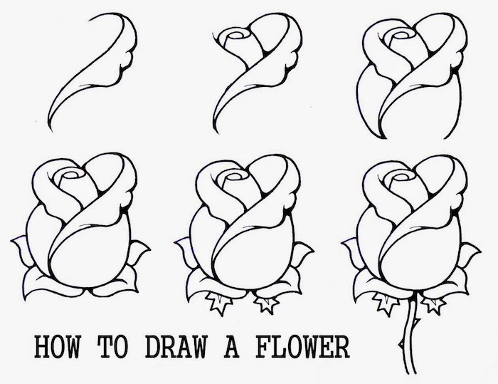 Come disegnare un fiore, disegno rosa con petali, disegna e colora, disegno a matita