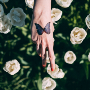 Tatuaggio farfalla: disegni e significato di un tattoo dolce e sensuale!