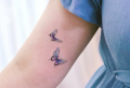 Tatuaggio farfalla: disegni e significato di un tattoo dolce e sensuale!