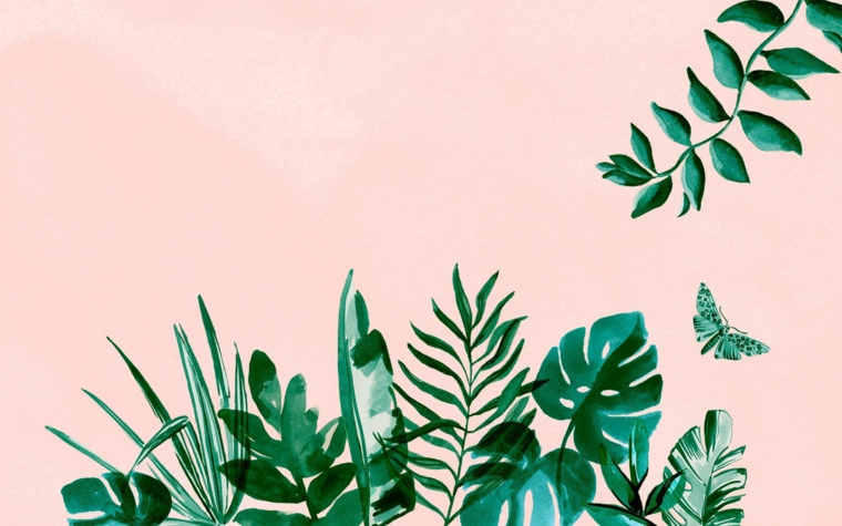 Sfondi particolari, immagine con sfondo di colore rosa, immagine con piante tropicali