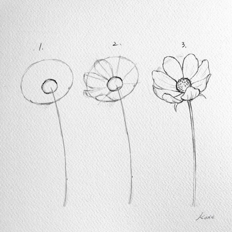Fiori da colorare per adulti, tutorial disegno a matita di un fiore con petali