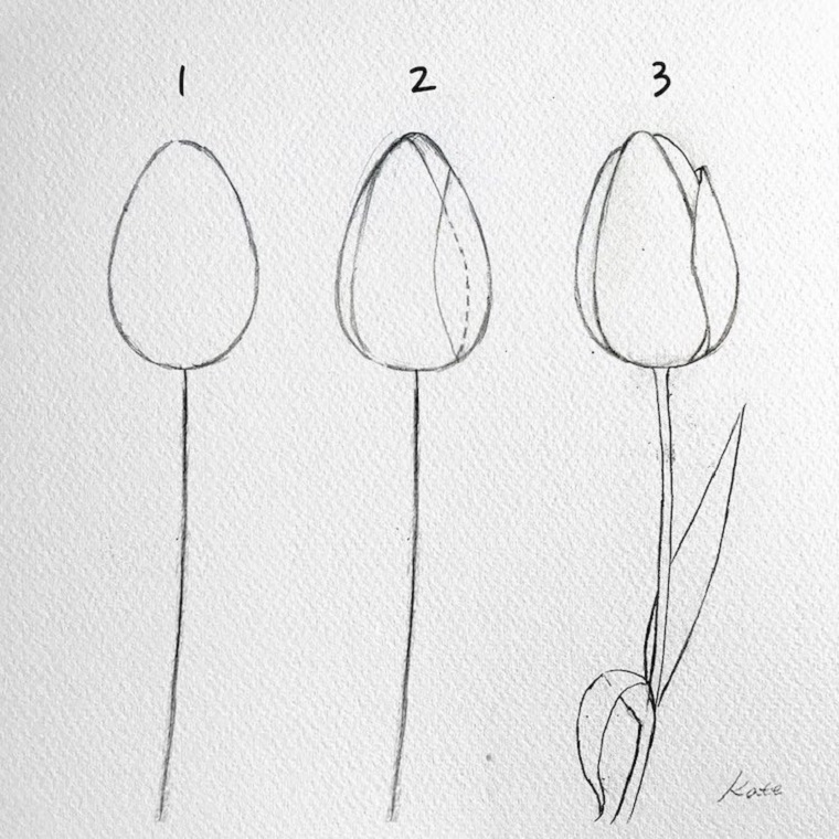 Disegni di fiori da colorare, tutorial con disegno a matita di tulipani