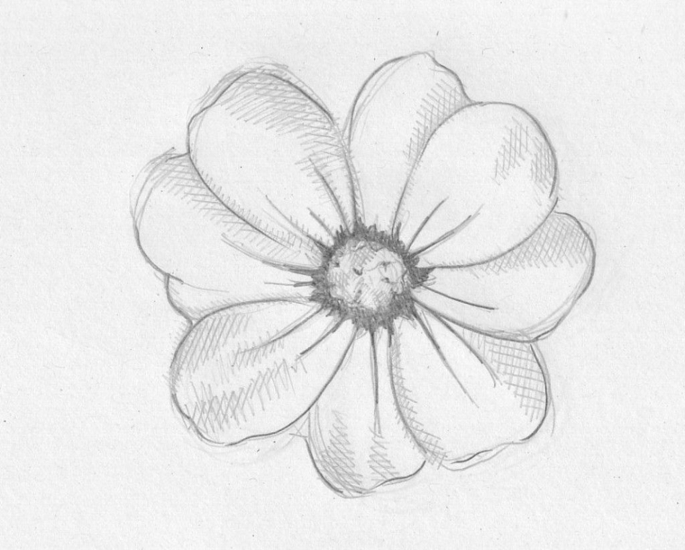 Fiori Facili Da Disegnare