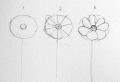 Fiori da colorare: il disegno come strumento per combattere lo stress!