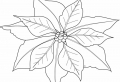 Foglie da colorare: disegni da stampare per bambini e adulti!