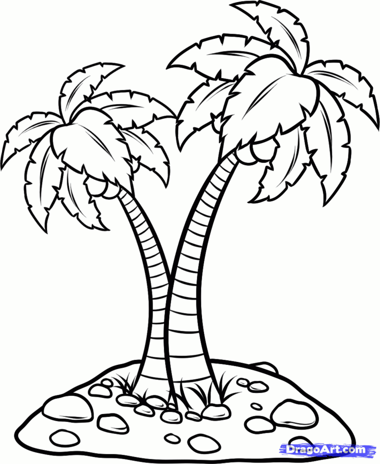 Immagine con disegno di due palme, disegno con foglie da stampare e colorare