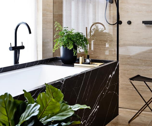 bagno vasca piante verdi da appartamento facili da tenere vasi box doccia vetro