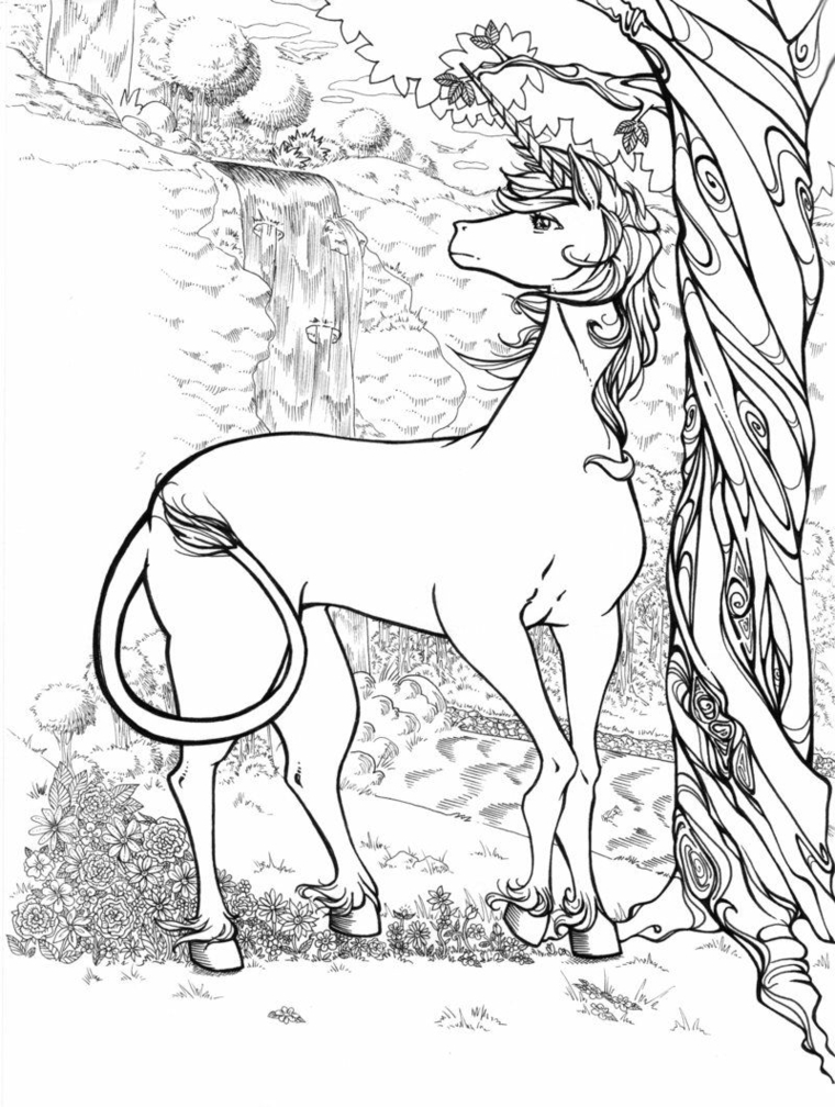 foresta cavallo unicorno da stampare e colorare albero fiori corno animale disegno per adulti