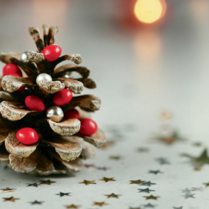 Lavoretti con le pigne: decorazioni natalizie fai da te per la casa!