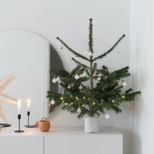 Alberi di Natale alternativi: le idee ecologiche e sostenibili da riutilizzare ogni anno!