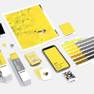 Ultimate Gray + Illuminating: i colori pantone 2021 da scoprire!